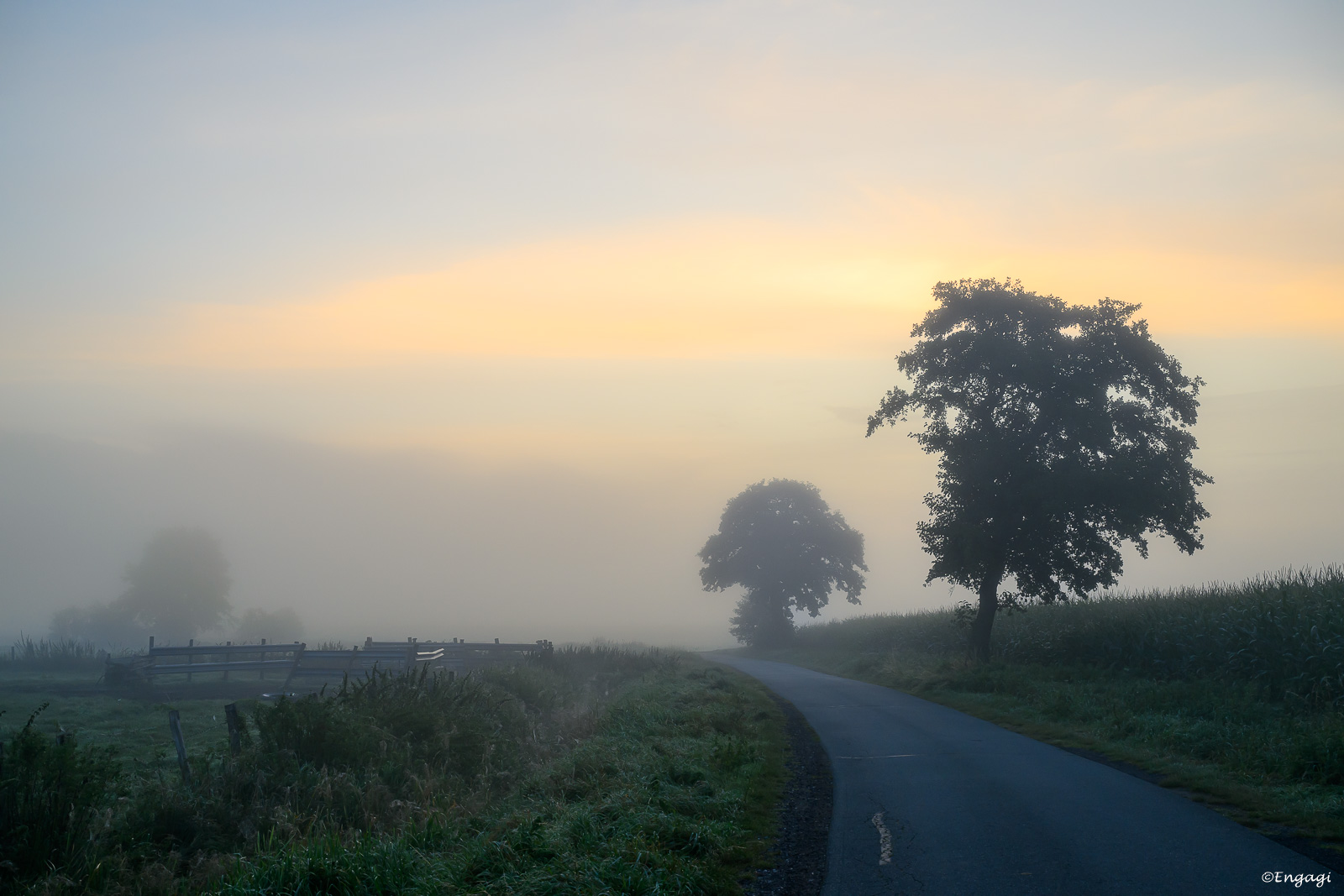 DSC_0551.jpg