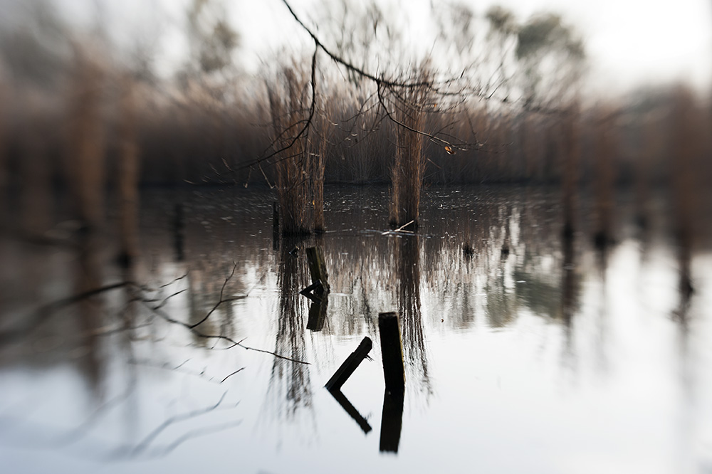 see-lensbaby-27.jpg