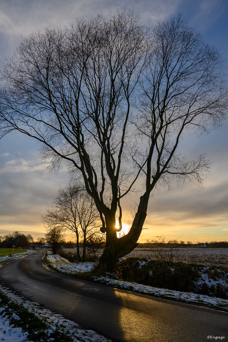 Sonnenuntergang%20011.jpg