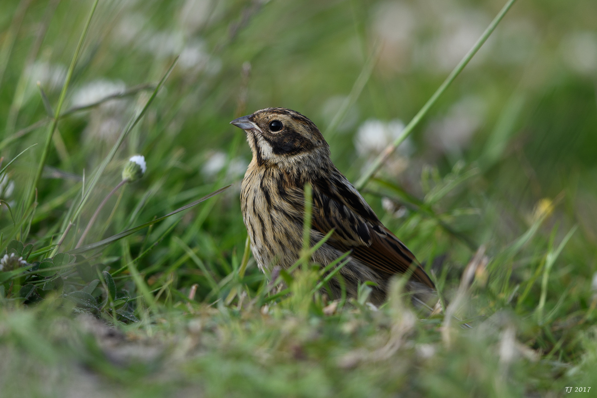 DSC_1779.jpg