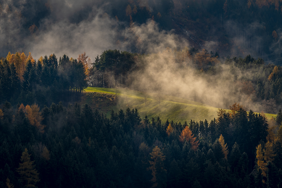 20211114_D500_1013NF.jpg