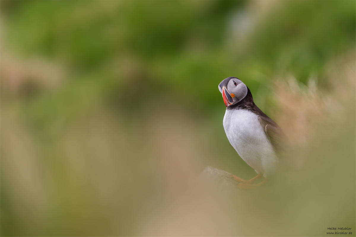 20140511_0054_PS_1200Px.jpg