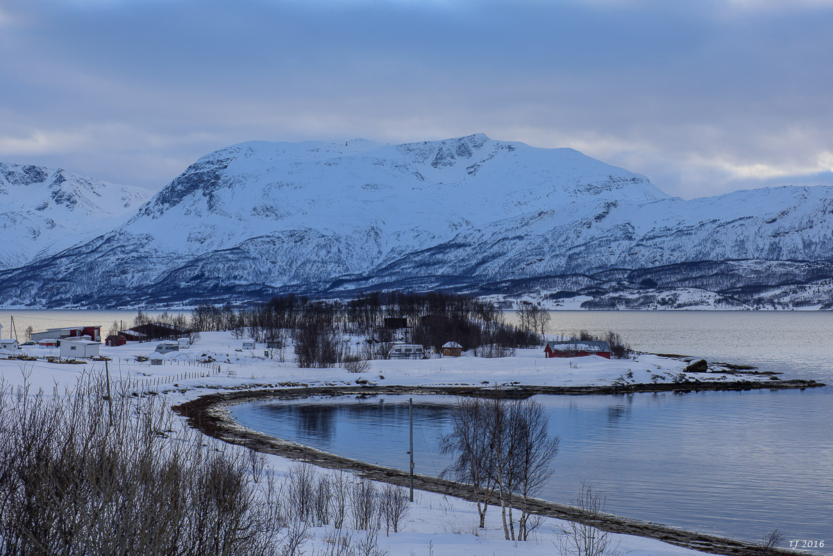 DSC_2511.jpg
