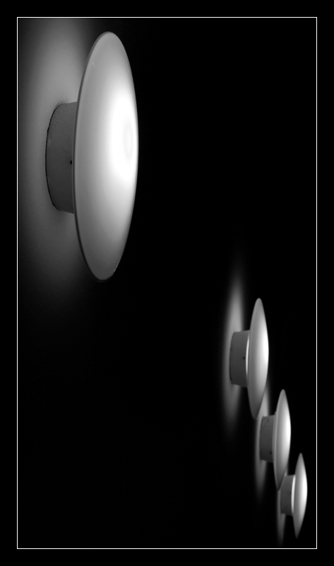 Lichtpilze_4225.jpg