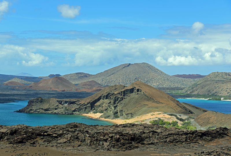 d75_7853.jpg