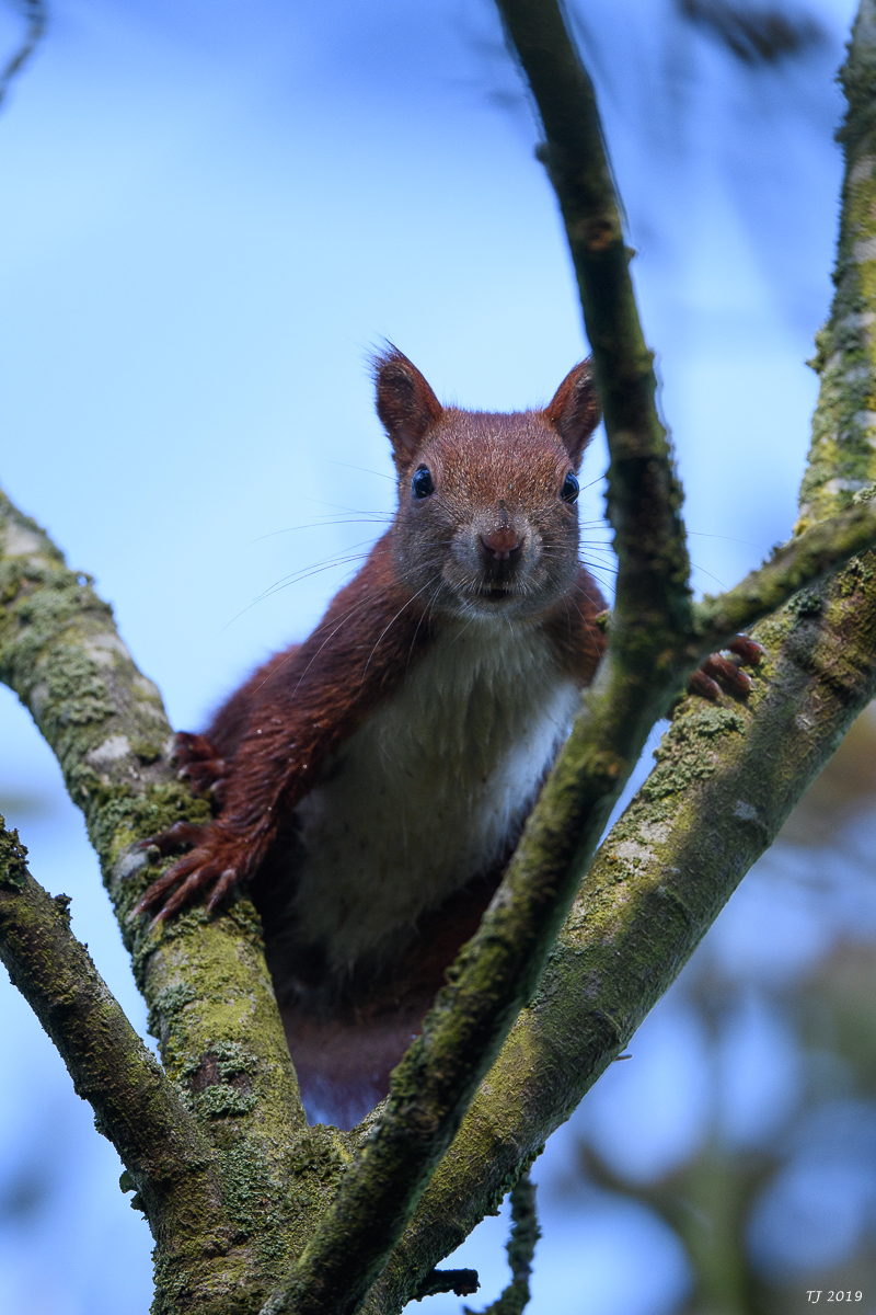 DSC_4757.jpg