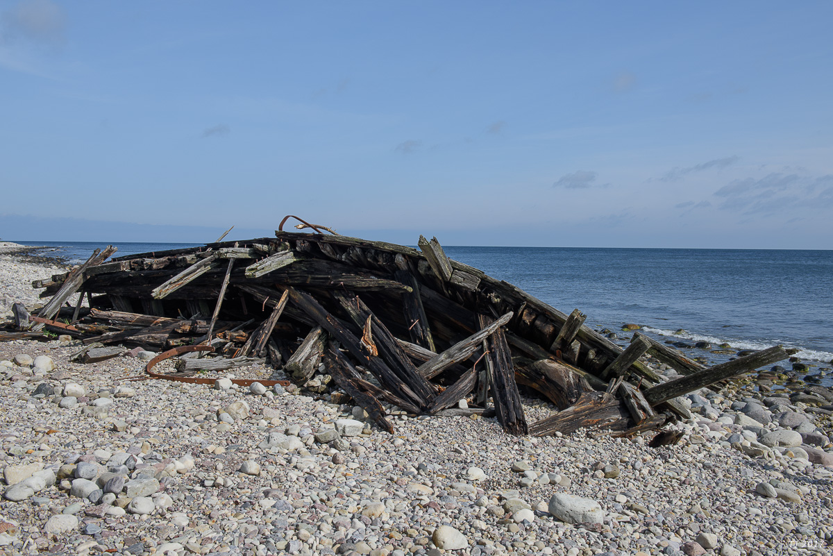 DSC_7807.jpg