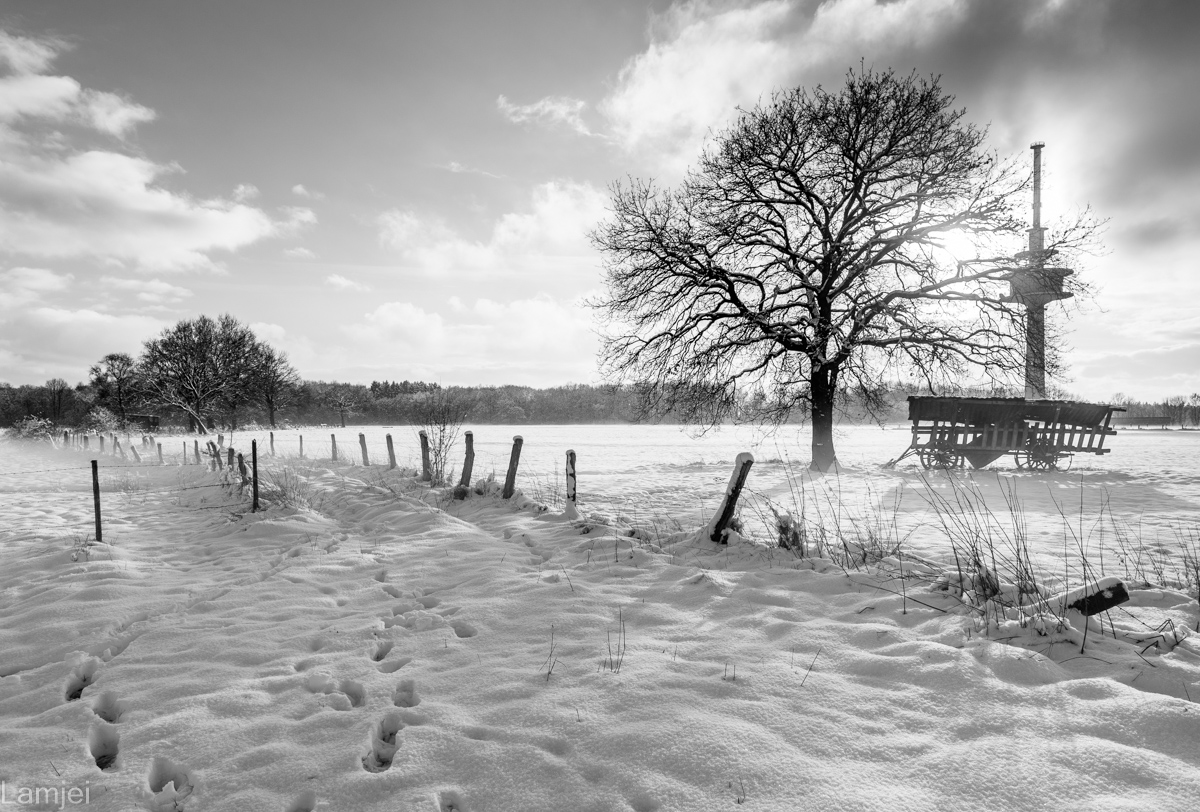 DSC_4969.jpg