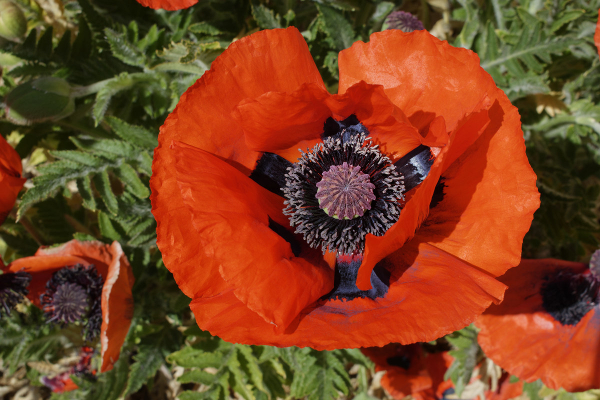 full