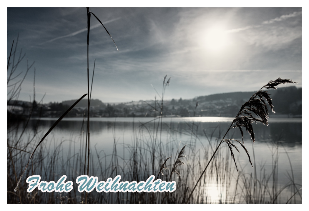 Weihnachten_2015.jpg