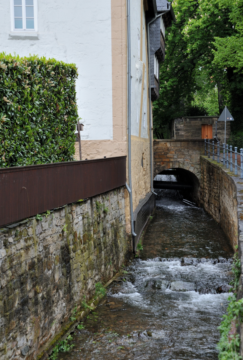 DSE_6453.JPG