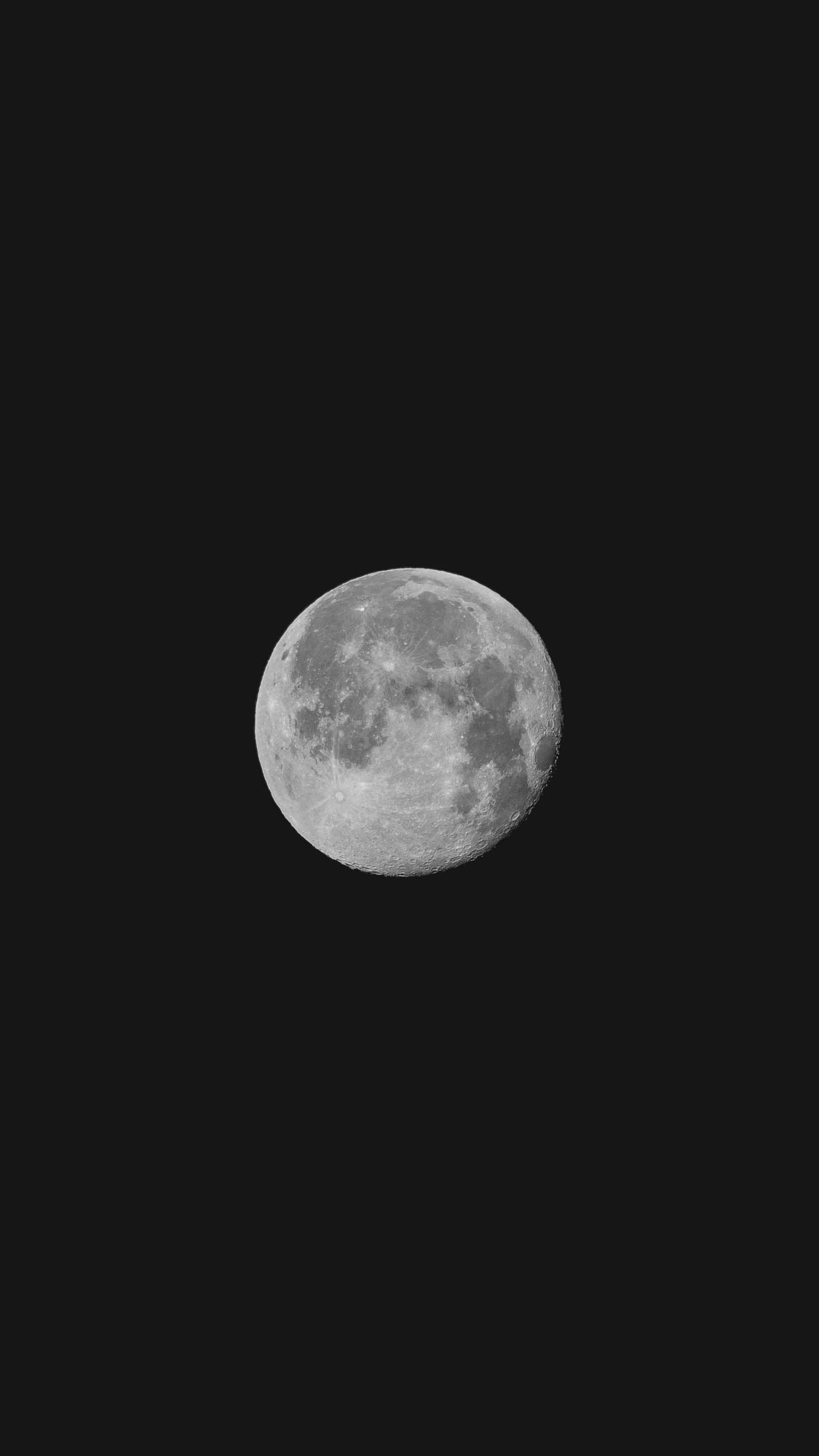 JohannesHulsch_100-400mm_Blog-4.jpg