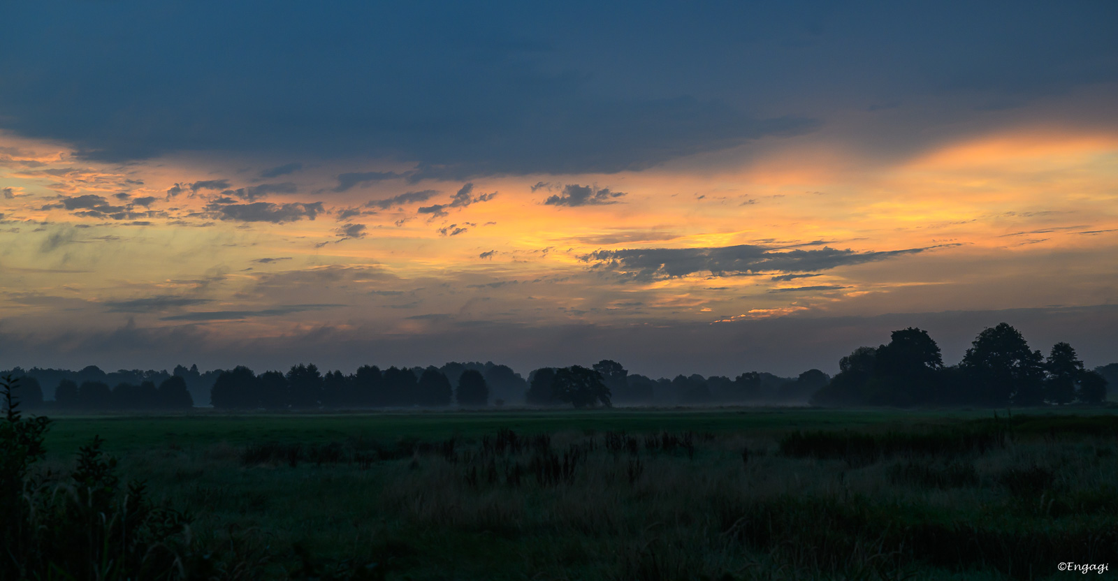 DSC_0466.jpg