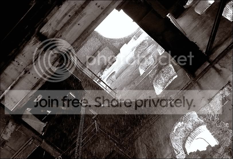TMPCompress-2.jpg