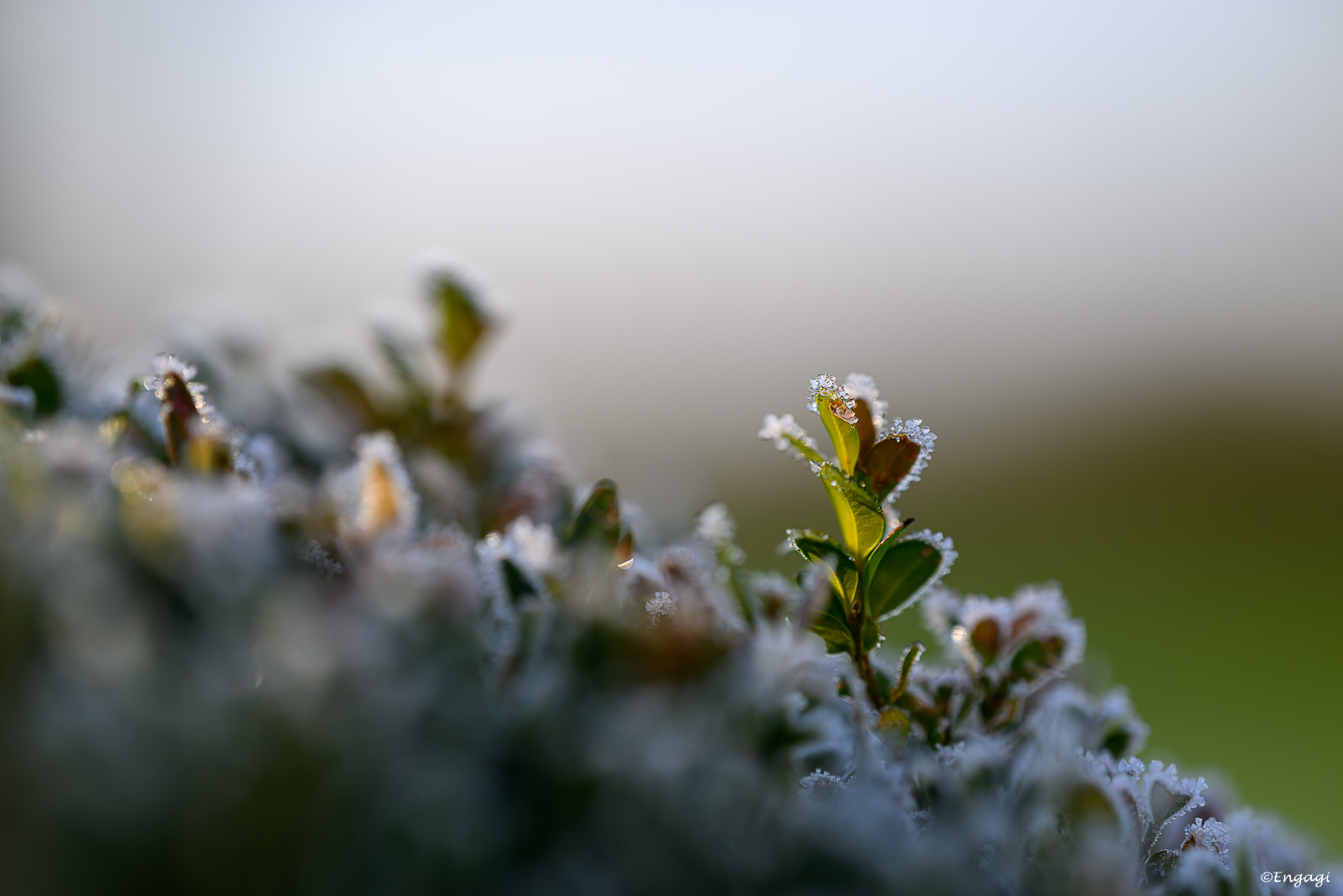 DSC_1048.jpg