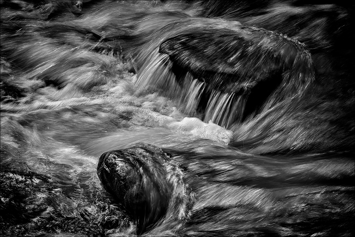 20200822_NZ7_1840sw.jpg