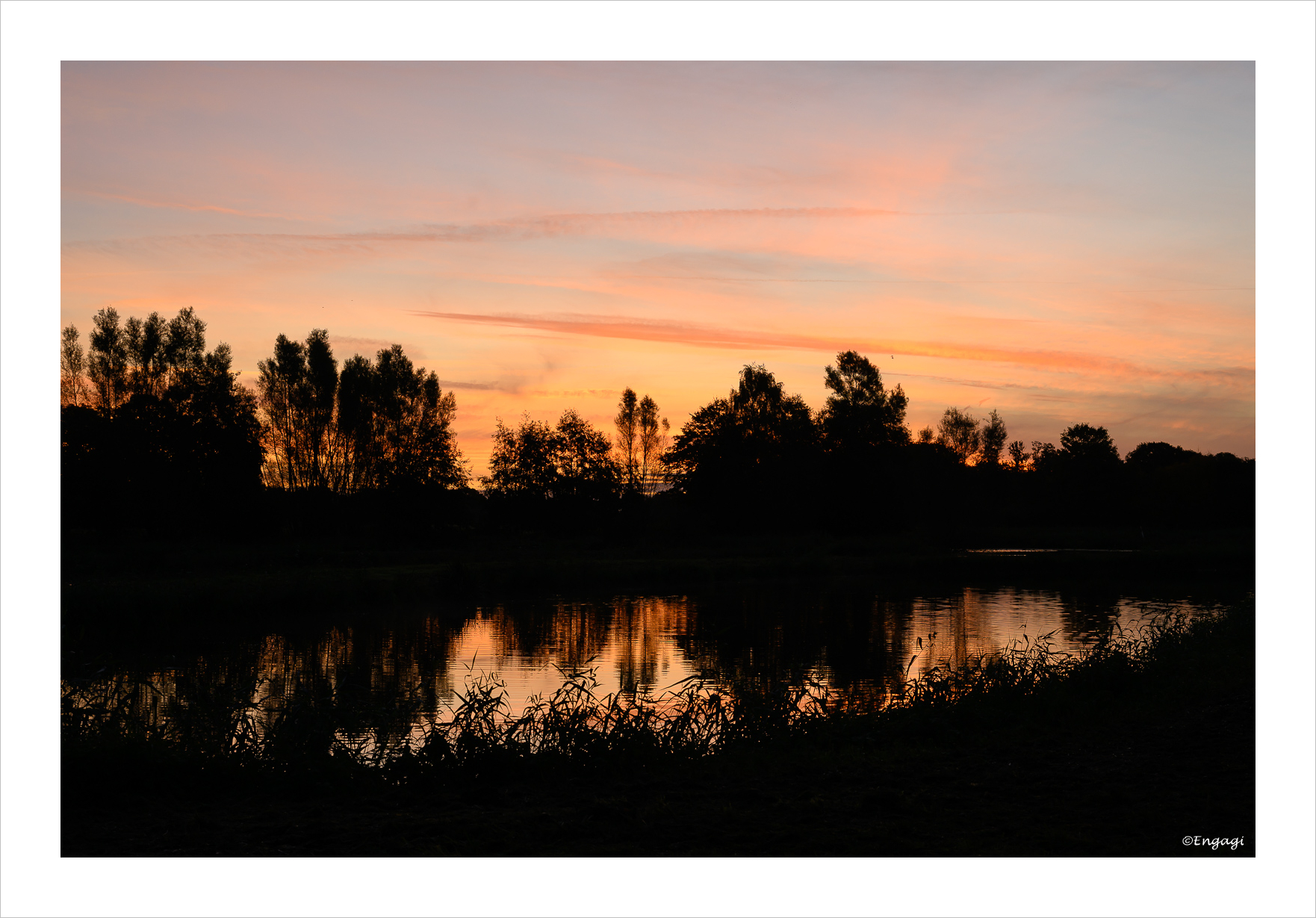 DSC_0234.jpg