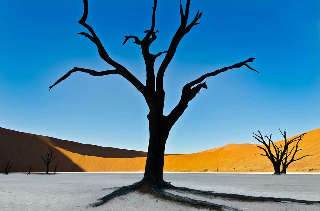 namibia_deadvlei_2.jpg