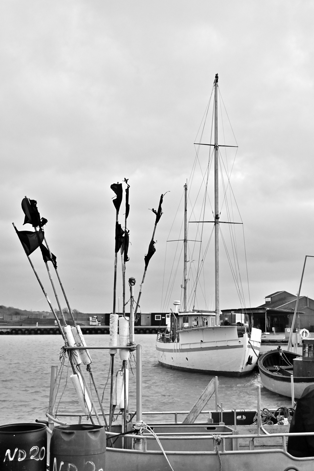20250210-152710bw-2k.jpg
