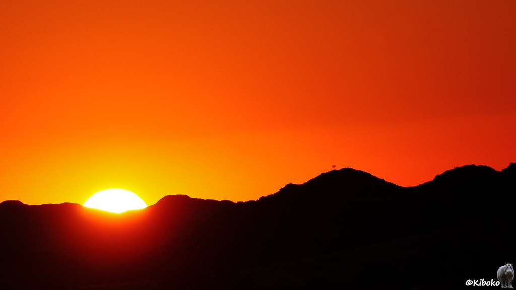 Die Sonne ist bereits halb untergegangen. Die Hügel sind jetzt schwarz. Der Himmel verändert sich von orange nach rot.