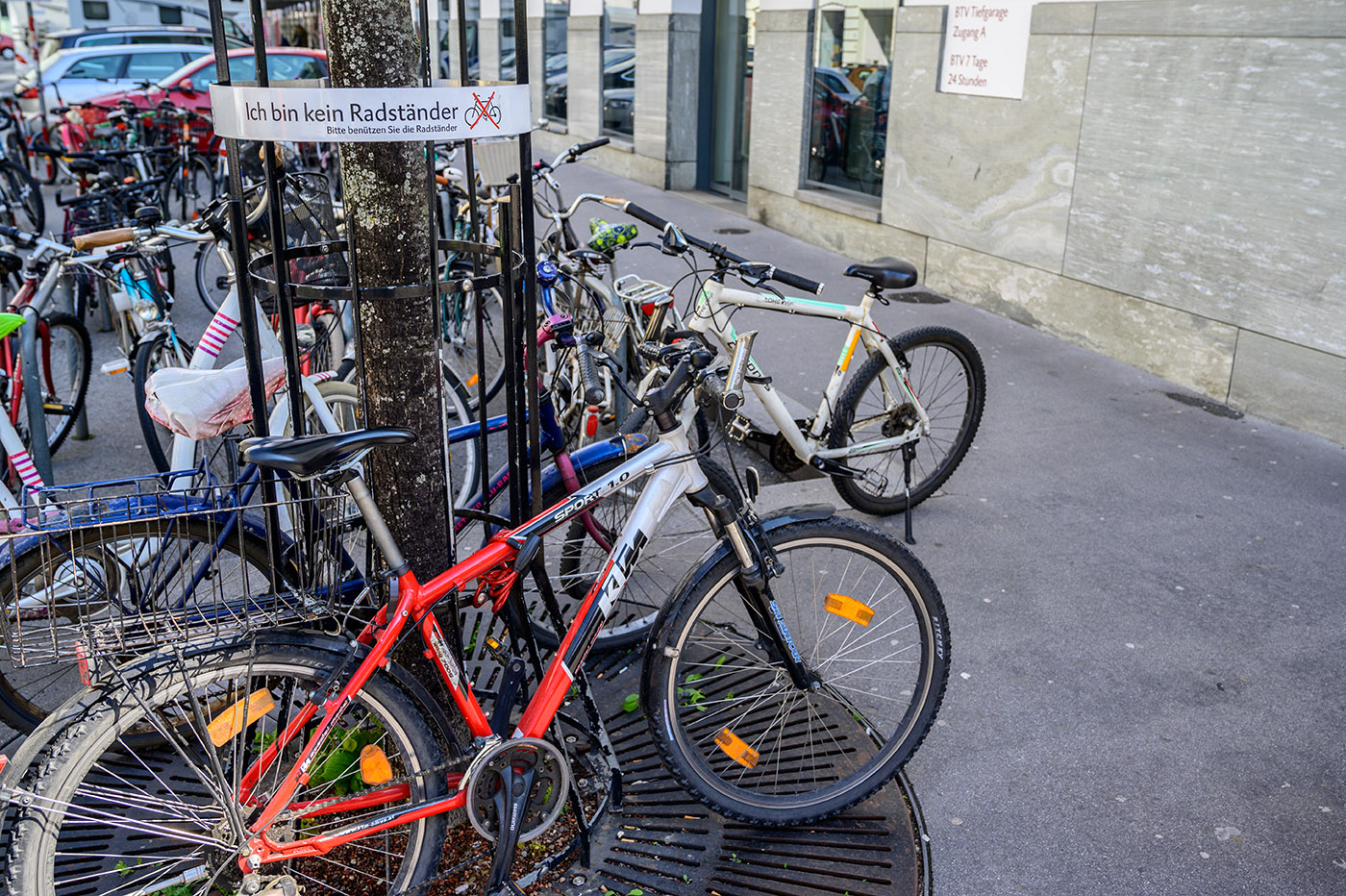 20190415_NZ6_0166NF.jpg