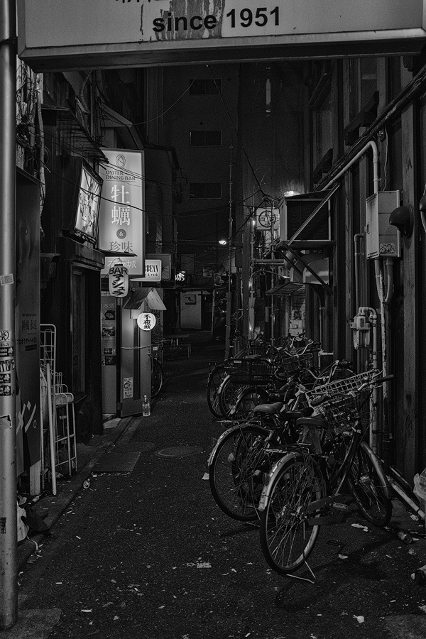 DSCF6003-SW-web.jpg
