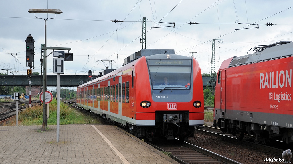 Ein roter Triebwagen fährt in einen Bahnhof ein