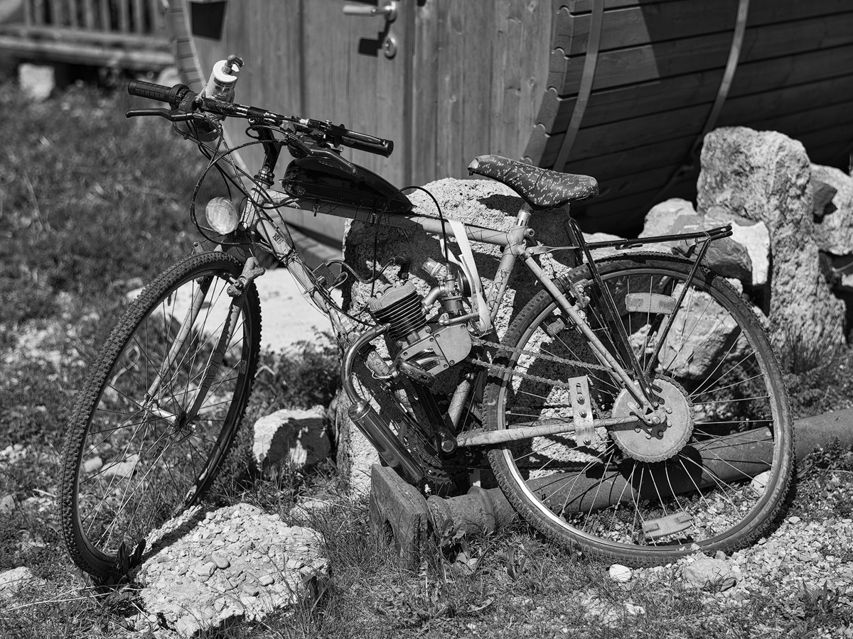 D85_1482sw-web.jpg