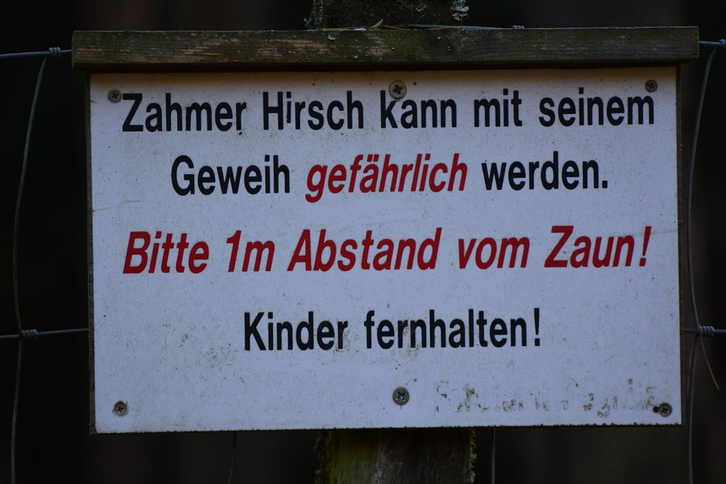 Hirsch.jpg
