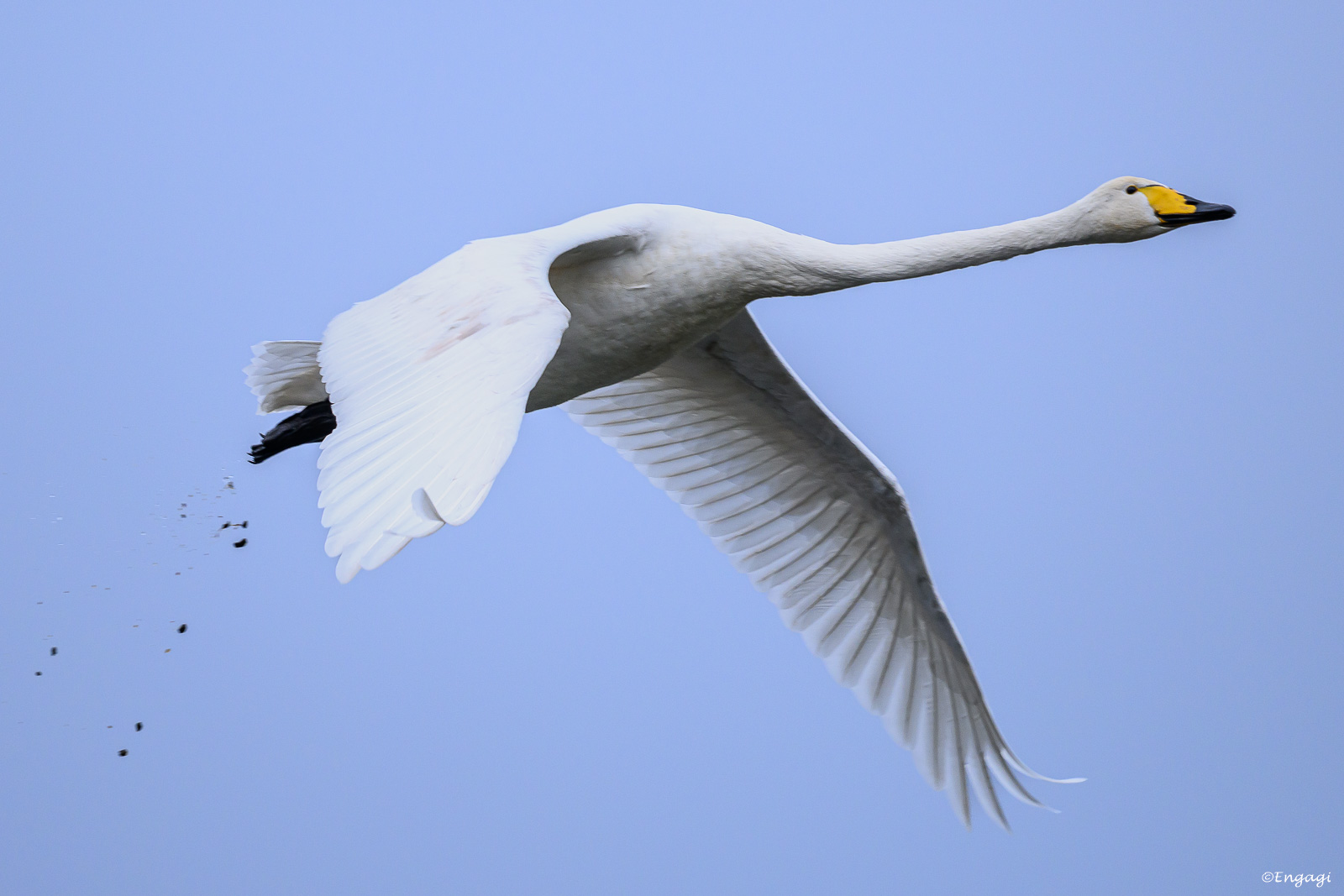DSC_5548.jpg