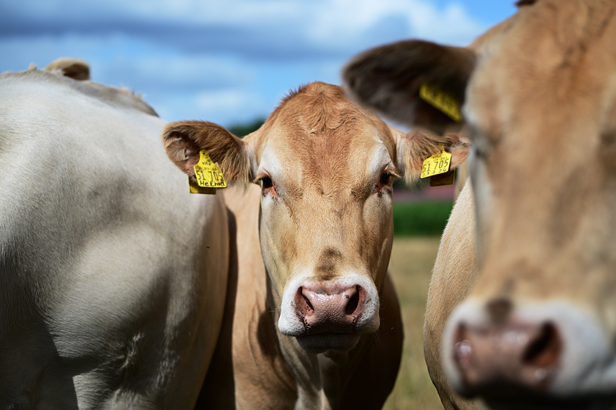 full