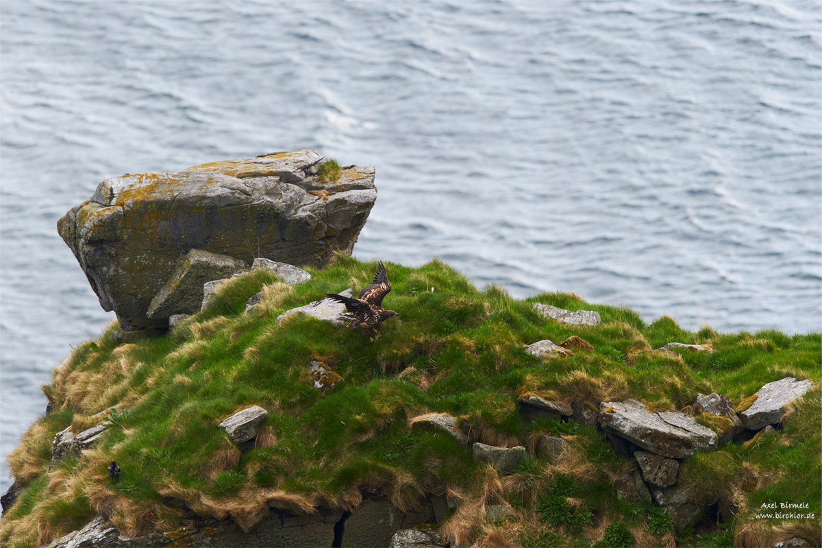 20140511_0027_PS_1200Px.jpg