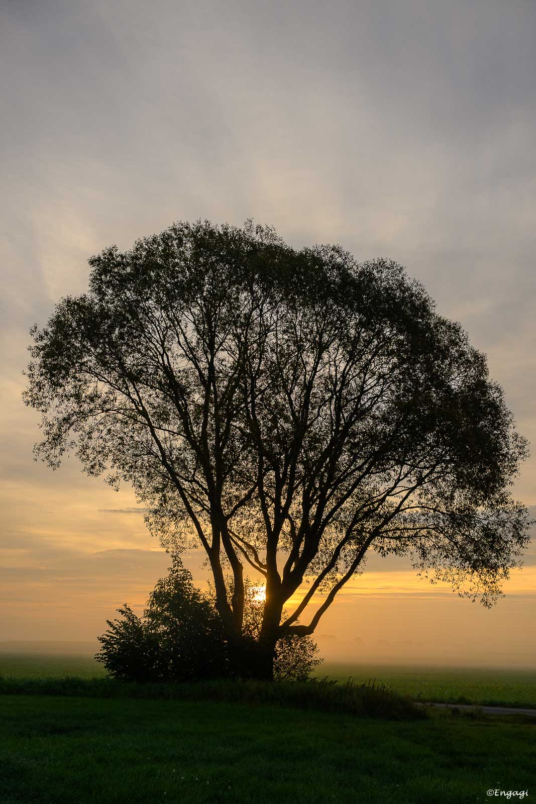 DSC_3105.jpg