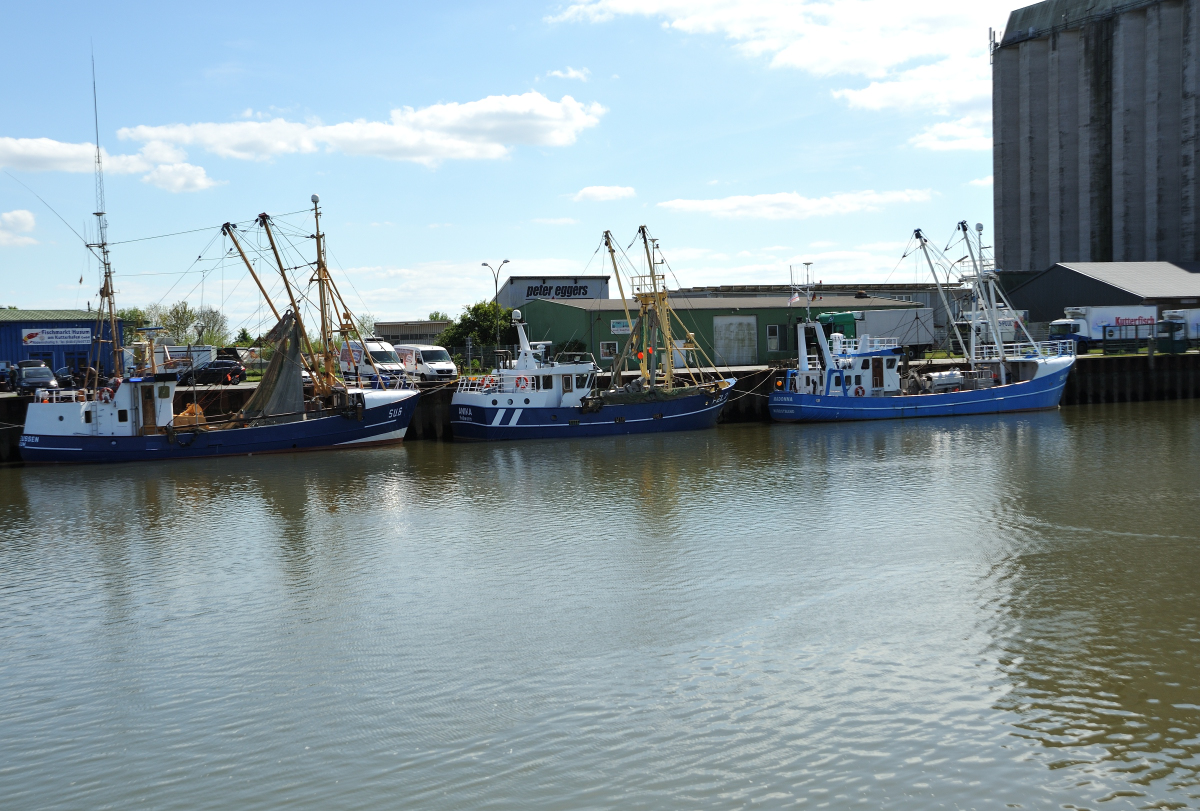 DSE_6480.JPG