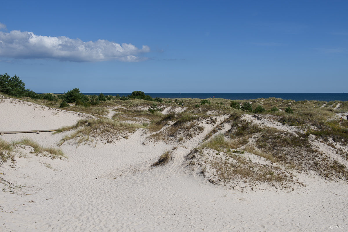 DSC_7622.jpg