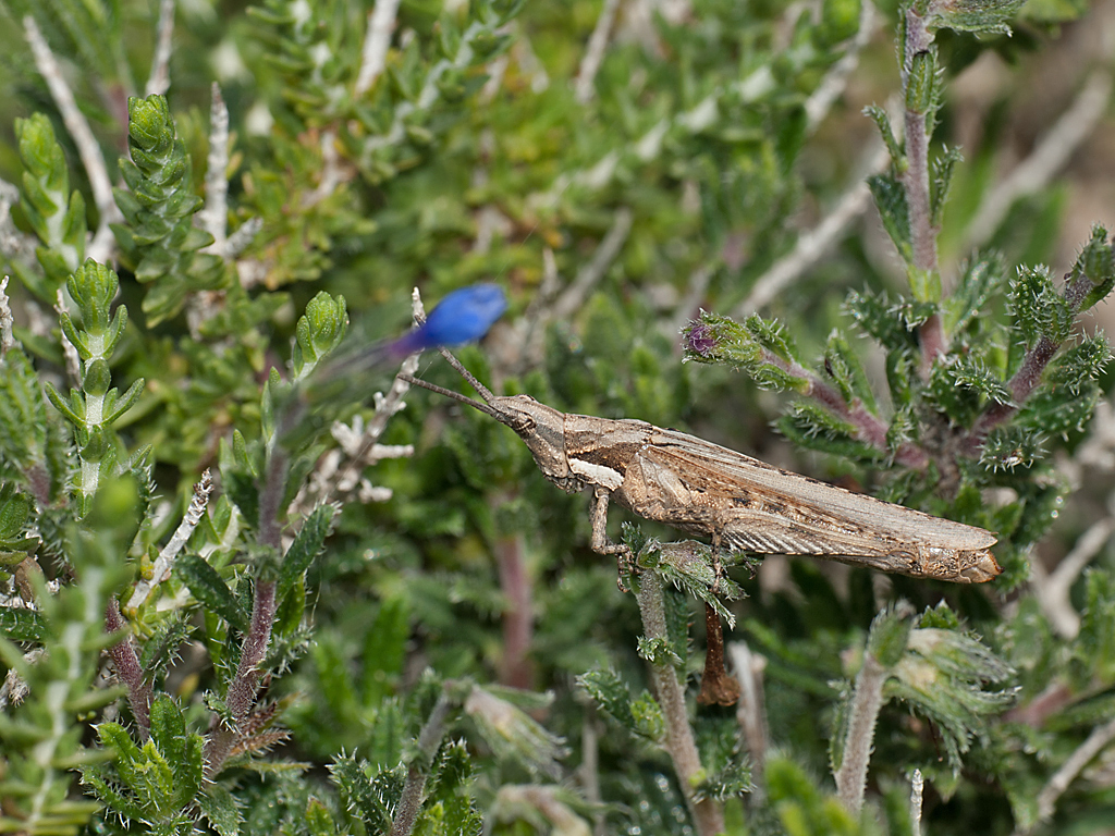 DSC_7645.jpg