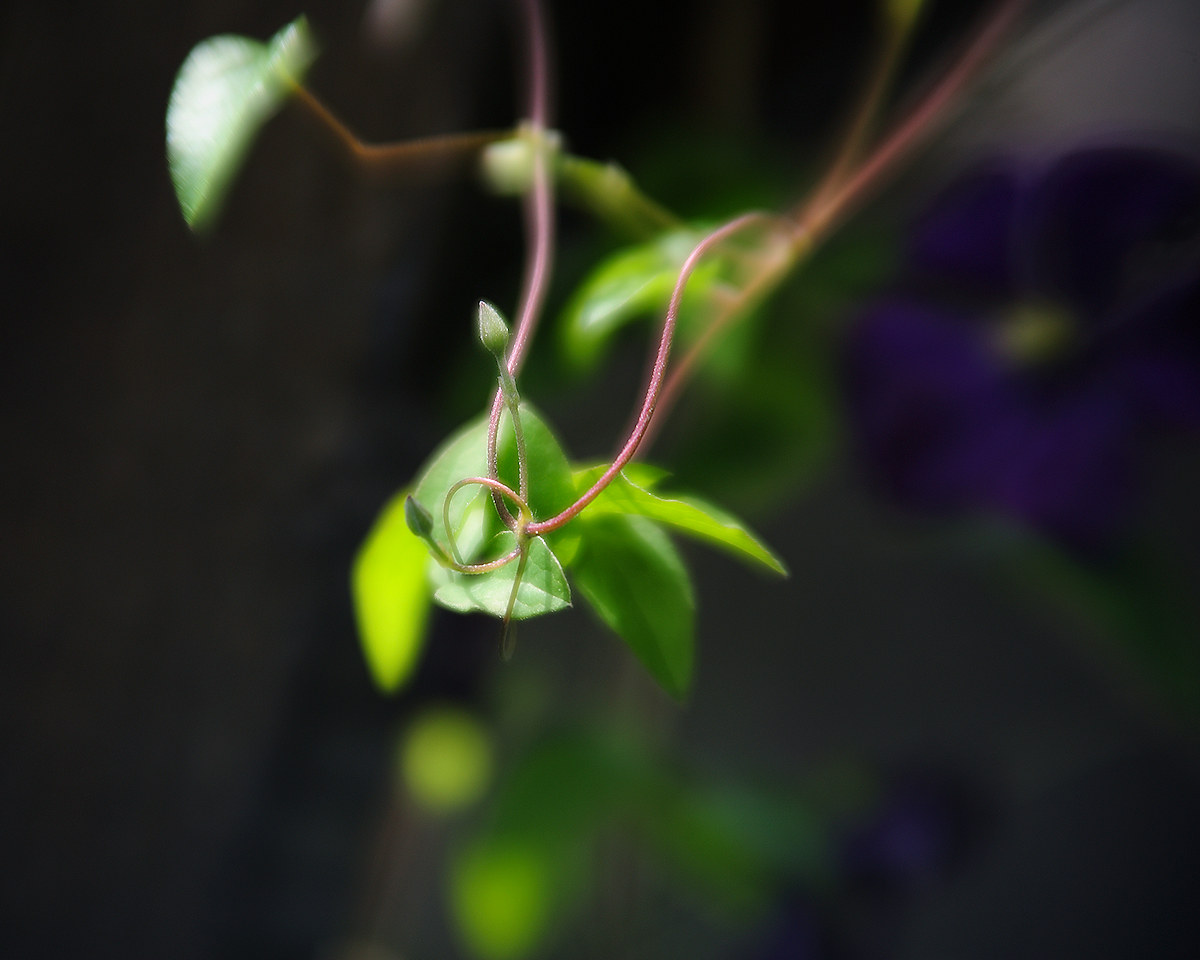 DSC_9155.jpg