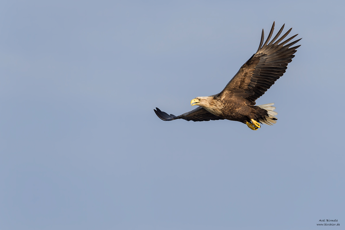 20140523_0143_PS_LAB_1200Px.jpg