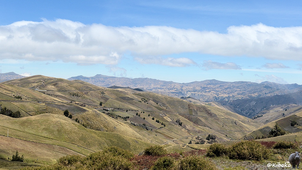 Das Bild zeigt eine Berglandschaft mit Grasflächen und kleinen Feldern. Ein schmales Wolkenband zieht quer über die Bergweld.