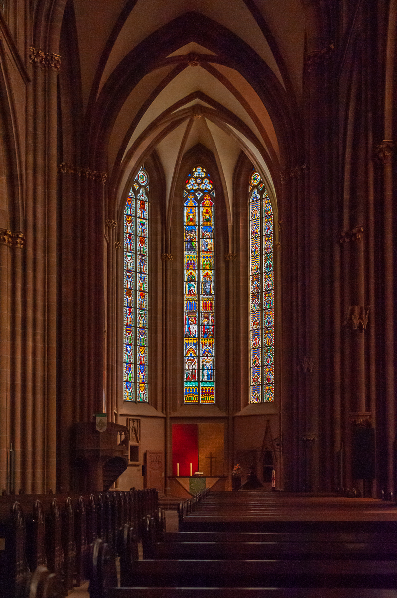 DSE_4700.jpg