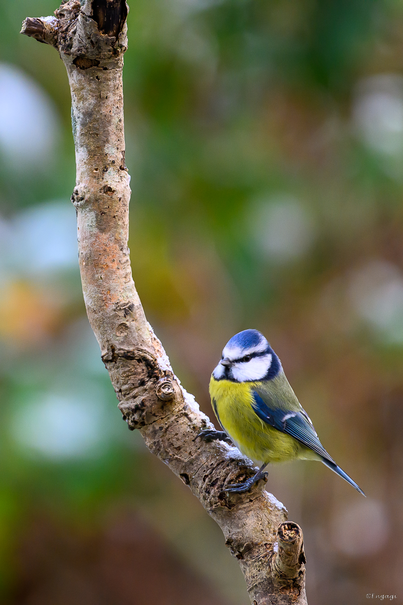 DSC_6763.jpg