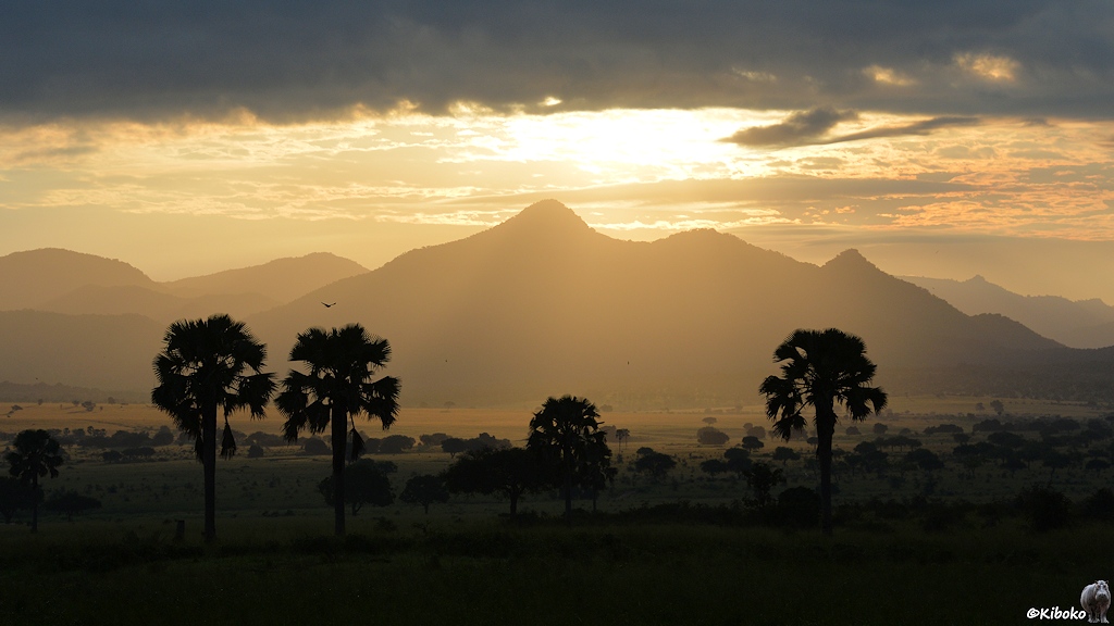s702_Kidepo_Sunrise_2882.jpg