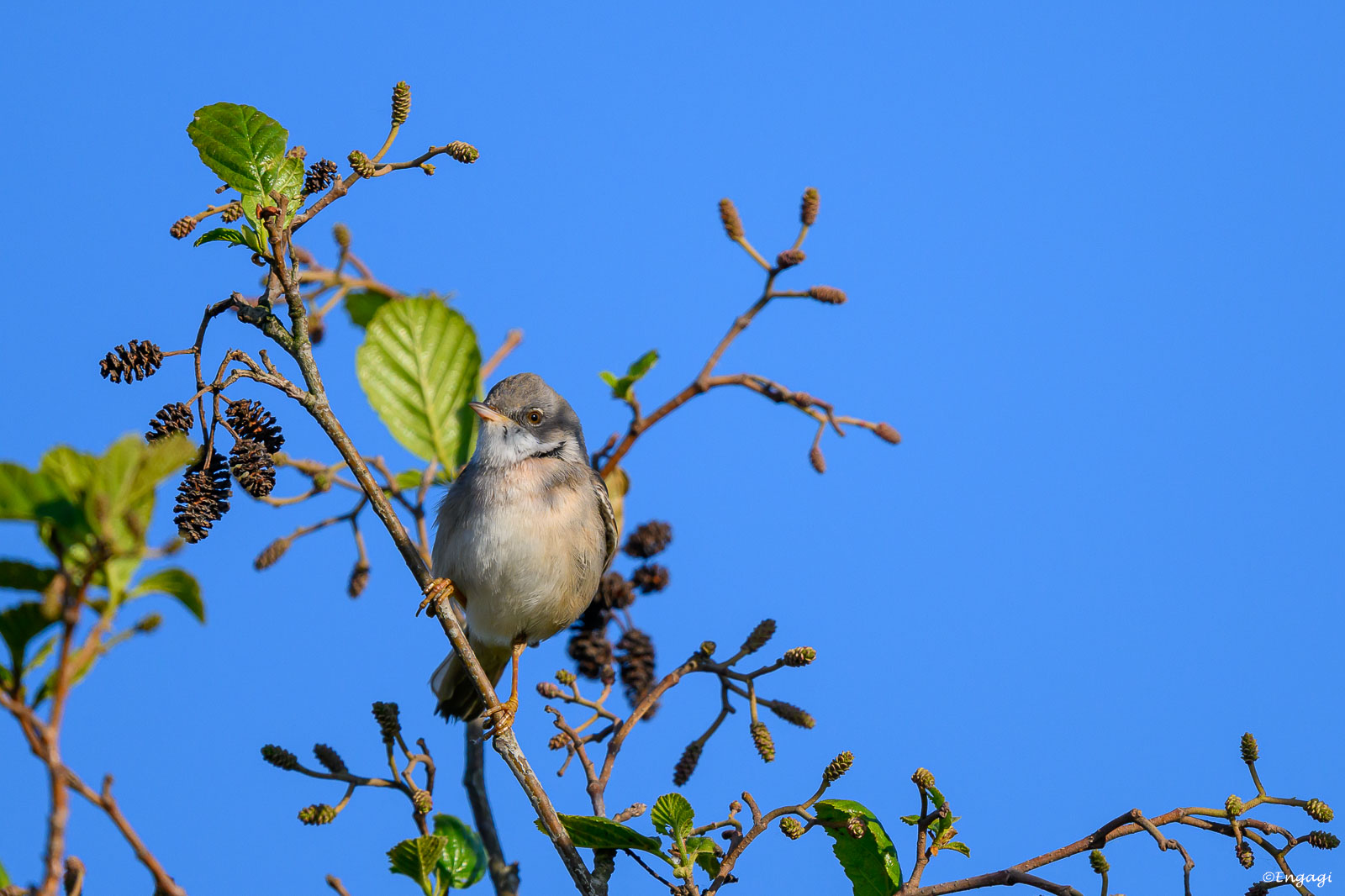 DSC_8450.jpg