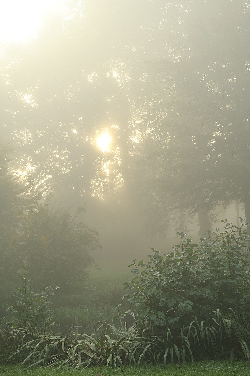 cK.R.-540DSC_4800.jpg