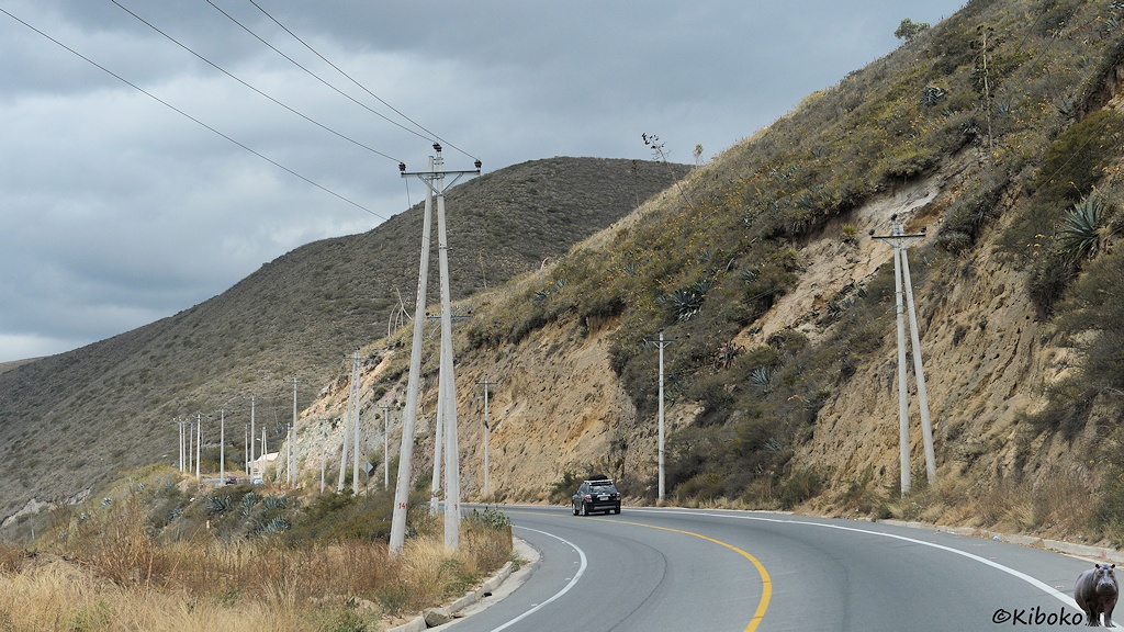Das Bild zeigt eine kurvige Straße durch kahle Berge. Auf beiden Seiten der Straße stehen Strommasten aus Beton.