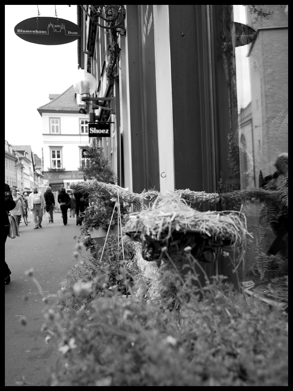 Fototrip_Erfurt_2_by_Odin77.jpg