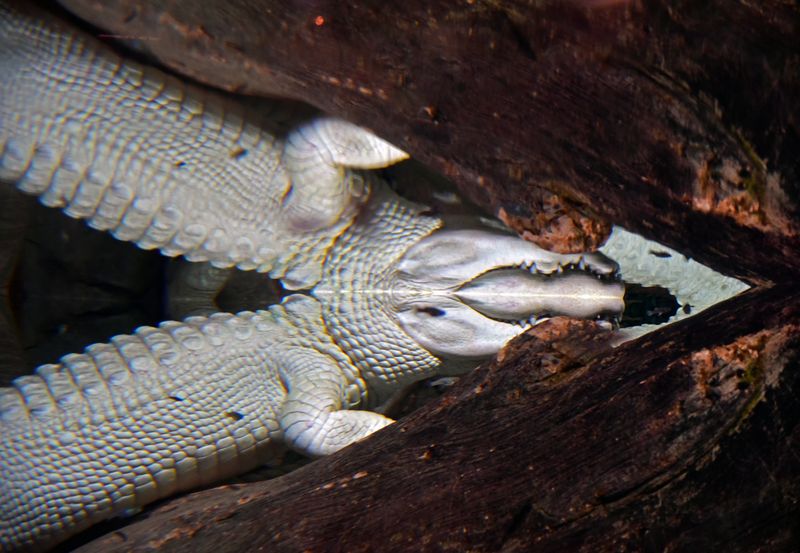 d75_7515.jpg