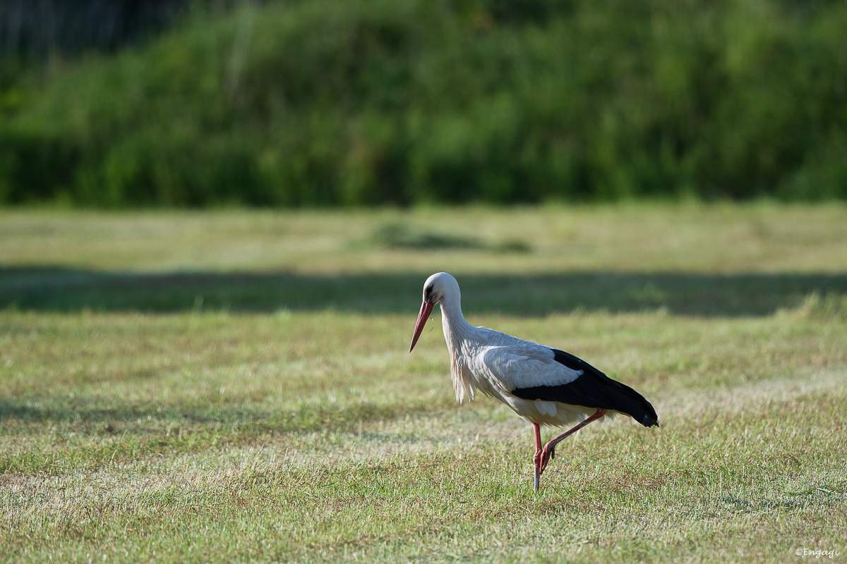 DSC_1322.jpg