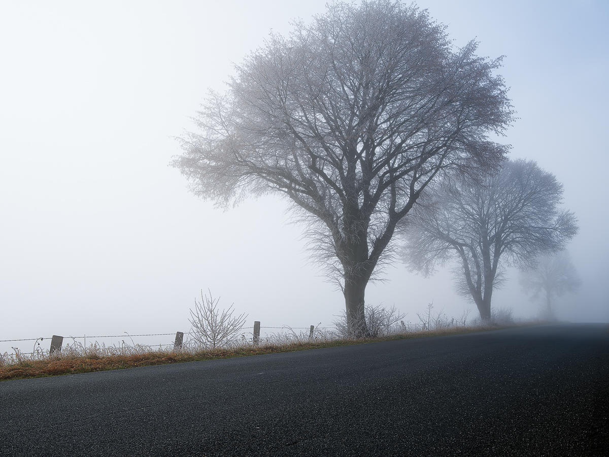 28114023lw.jpg