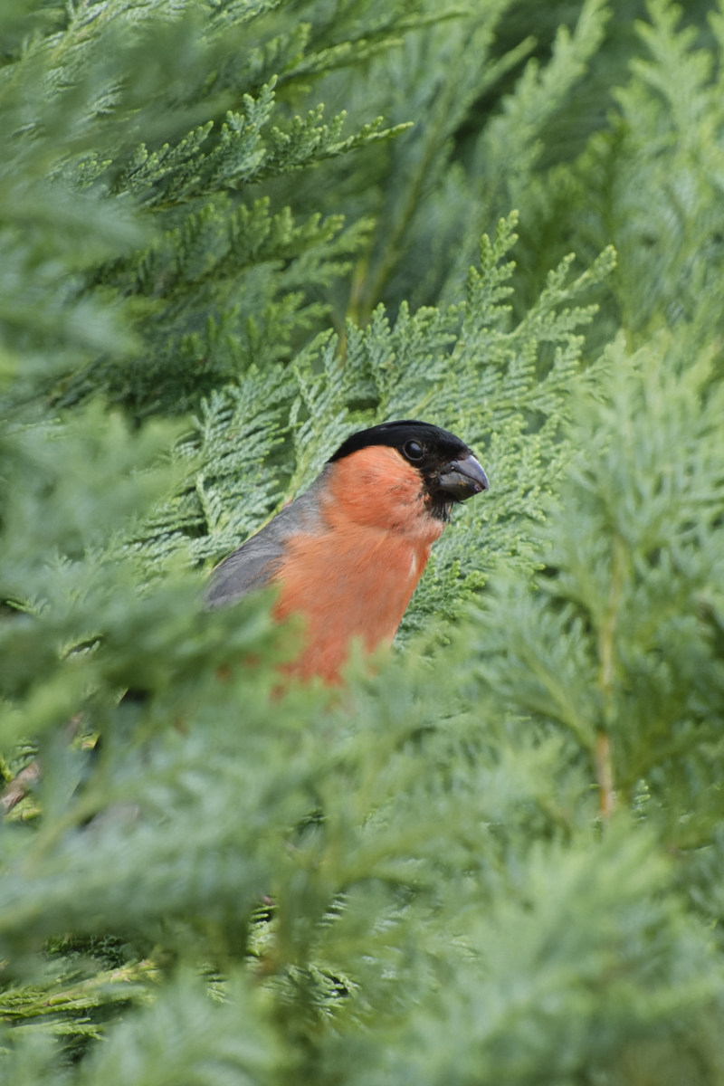 full